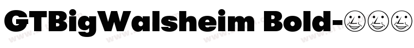 GTBigWalsheim Bold字体转换